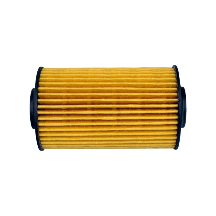 Filtro de Óleo WOE916 ( Cadillac CTS, SRX, STS / GM Camaro, Trailblazer ) - Image 2